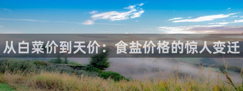 威九国际软件