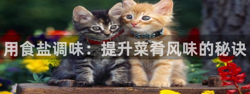 威九国际FT