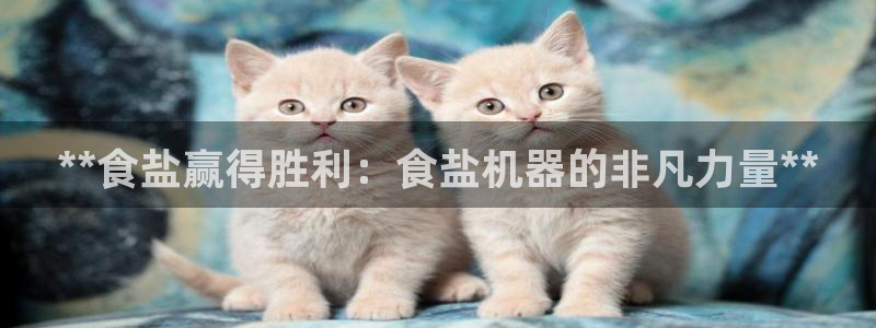 威九国际女艺人