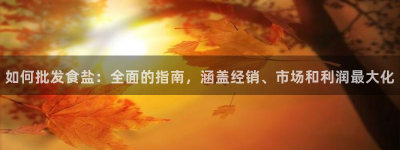 威九国际网站经常打不开怎么办