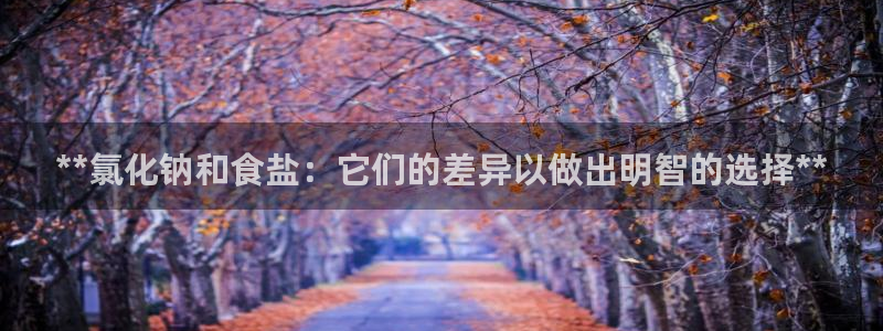 威九国际ppt官网