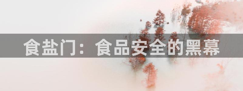 威九国际软件公司简介