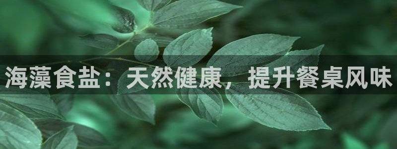 威九国际观看