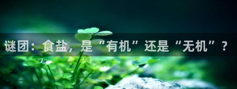 威九国际人民网招聘