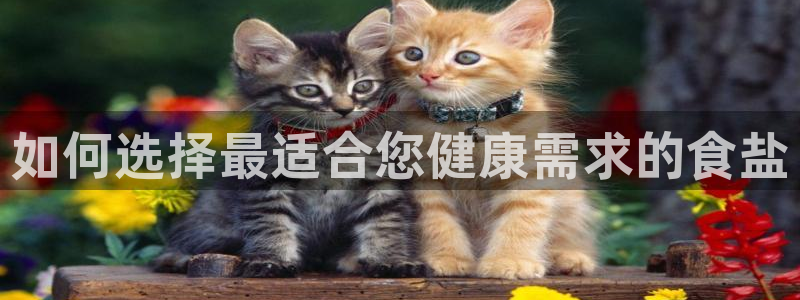 威九国际可以提现吗现在
