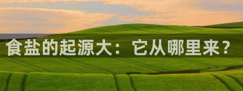 威九国际78m78免费