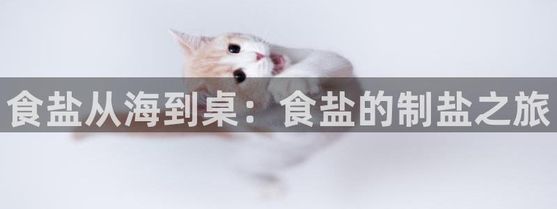 威九国际可以提现吗安全吗