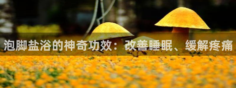 威九国际网站入口官网免费下载