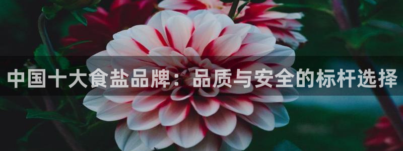 威九国际空降
