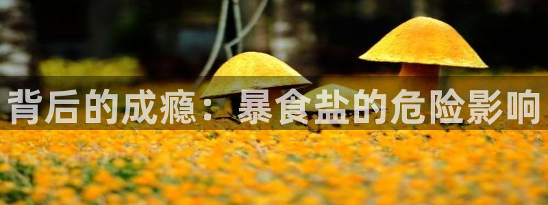 威九国际网站安全吗