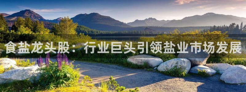 威九国际MM