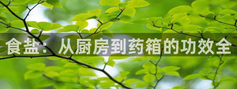 威九国际真人玩家在线对战