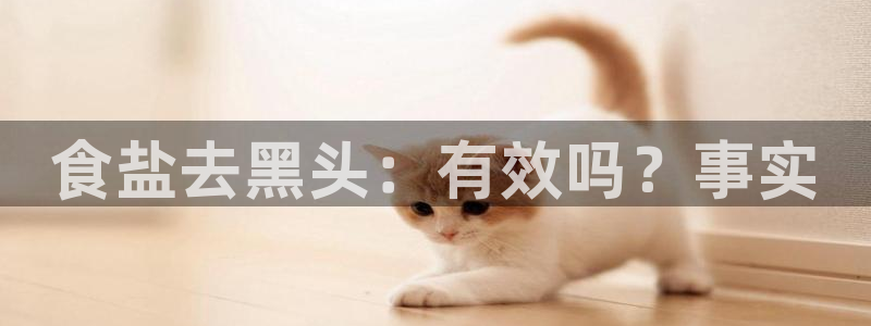 威九国际留学
