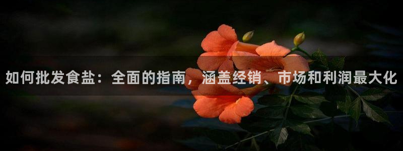 威九国际ppt免费下载