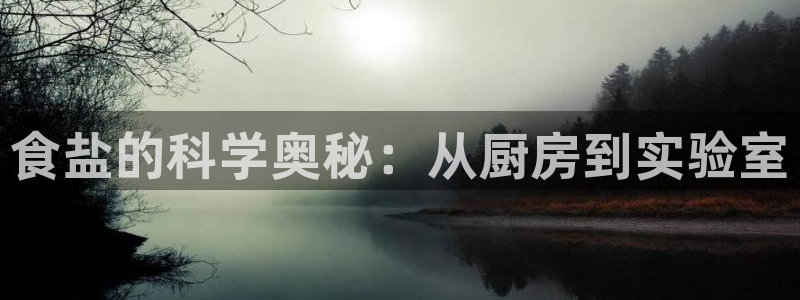 威九国际体育