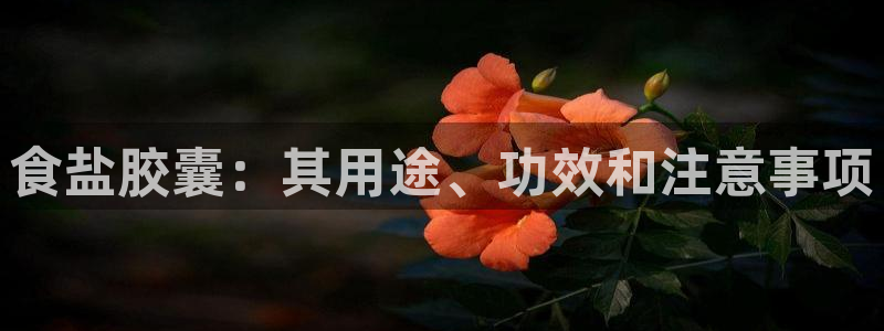 威九国际网站传媒招聘
