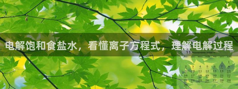 78mapp威九国际