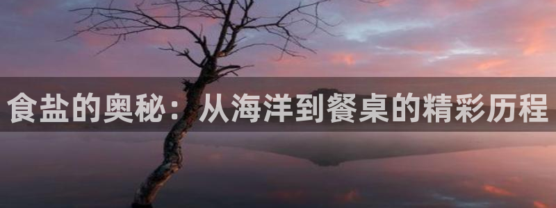 威九国际客服电话号码