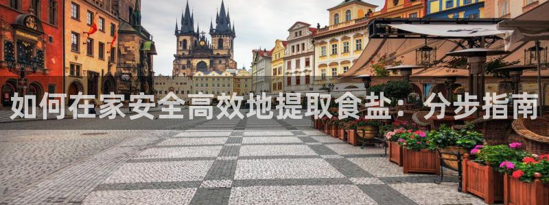 威九国际集团66m一6