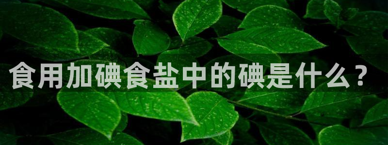 威九国际游戏