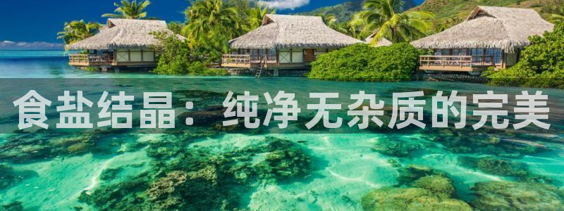 威九国际h5