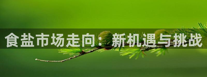威九国际APP下载