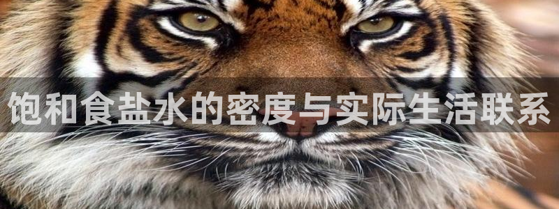 78.m威九国际官网版