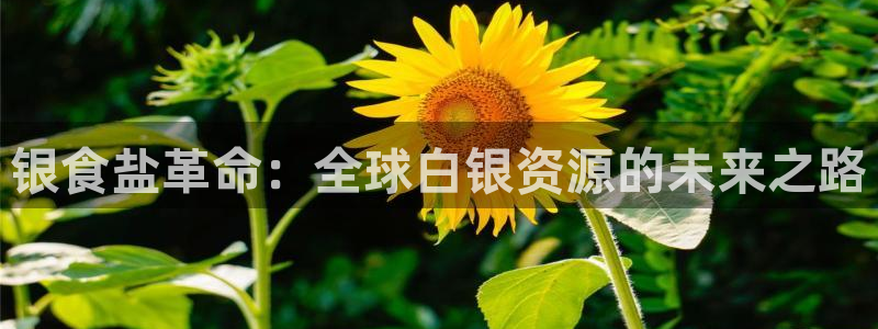 威九国际78m光伏巨头隆基绿能esg成色：银食盐革命：全球白