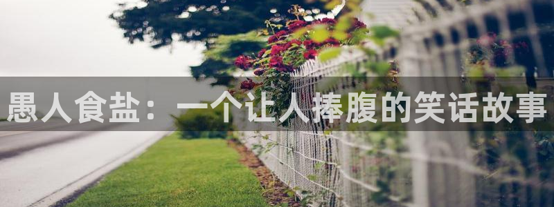 威九国际替好友去