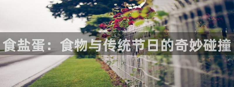 66m威九国际精选