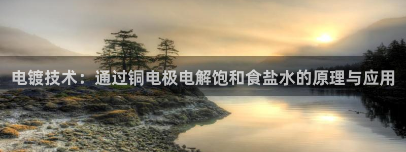 威九国际黑钱