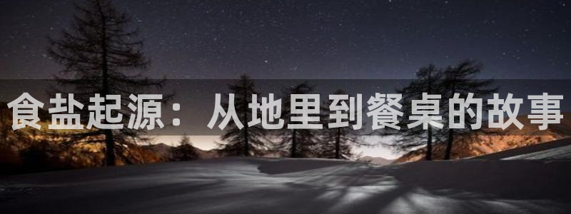威九国际官方入口