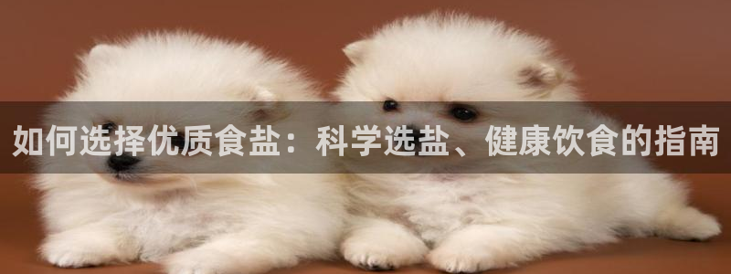 威九国际地址
