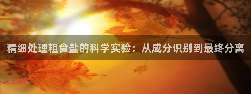 威九国际网站入口官网免费