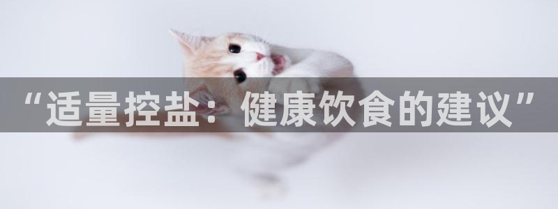 威九国际官网登录入口下载