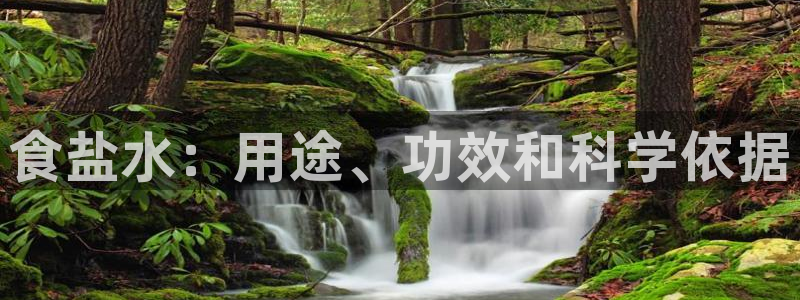 威九国际理论片最经典十首歌曲