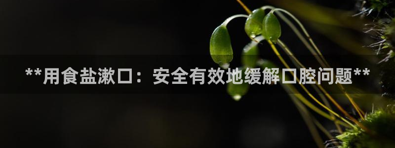 威九国际网站入口官网首页登录
