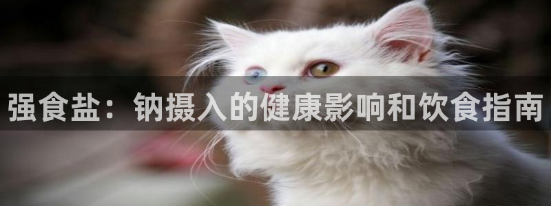 78mapp威九国际成长视频