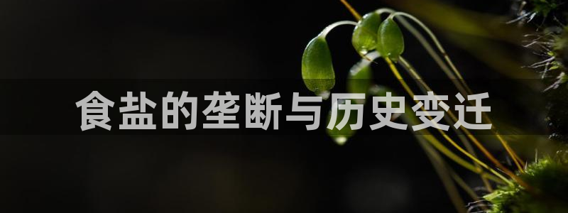 威九国际网站更新了吗