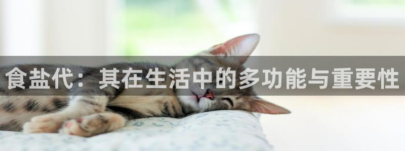 威九国际旗下艺人