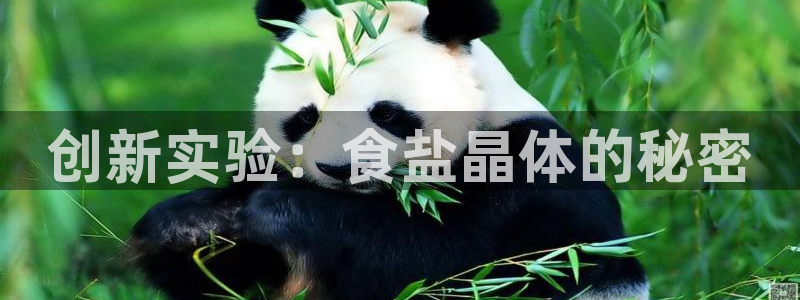 威九国际电子有限公司：创新实验：食盐晶体的秘密