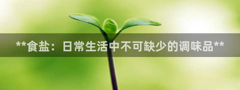 威九国际清砖码头怎么样