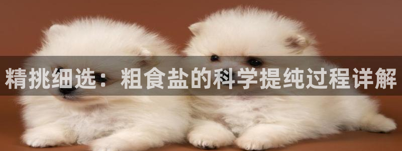 威九国际人民网招聘