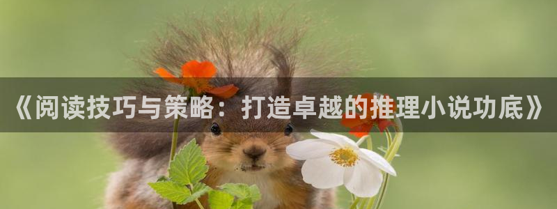 哔哩轻小说官网在线观看