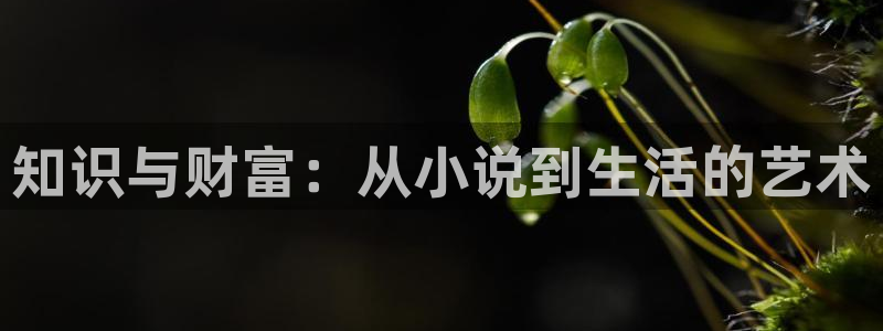 哔哩轻小说软件